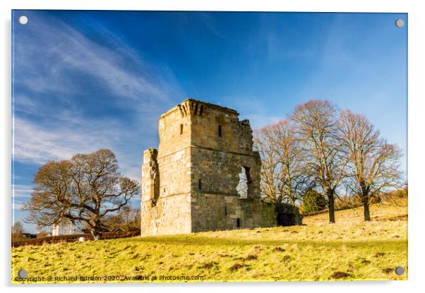 Ayton Castle Acrylic by Richard Burdon