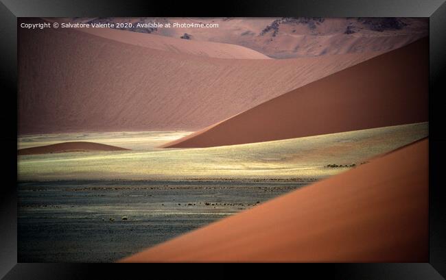 Dune del namib Framed Print by Salvatore Valente