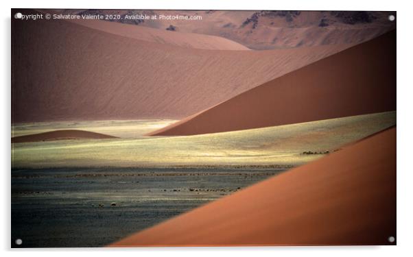 Dune del namib Acrylic by Salvatore Valente
