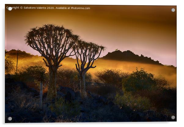 tramonto nel deserto Acrylic by Salvatore Valente