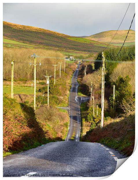 Country Road Print by barbara walsh