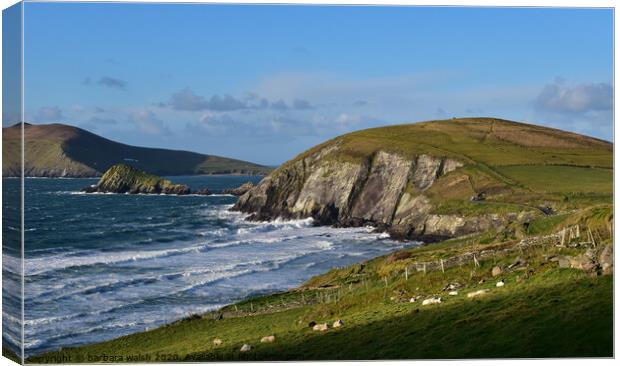 Coumeenole beach Canvas Print by barbara walsh