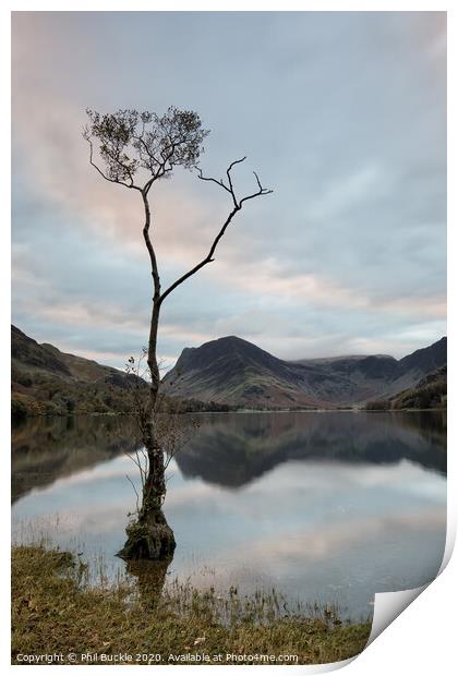 Buttermere Lone Tree Sunrise Print by Phil Buckle