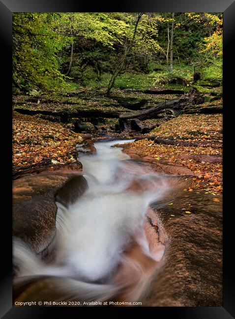 Gelt Woods Rapids Framed Print by Phil Buckle