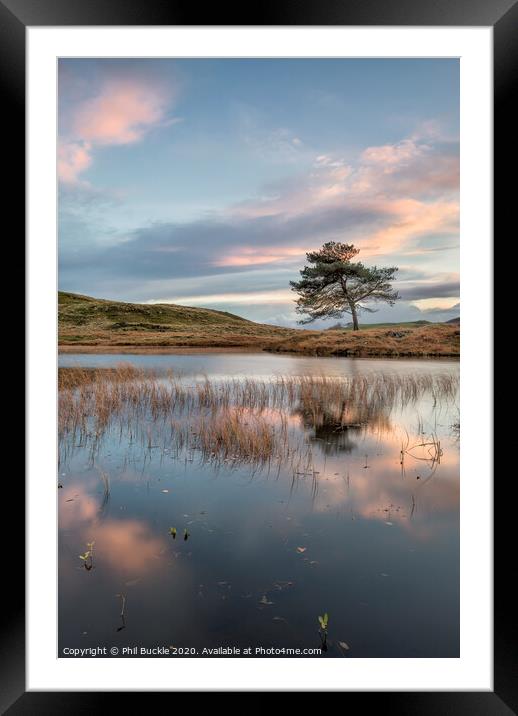 Kelly Hall Tarn Sunset Framed Mounted Print by Phil Buckle