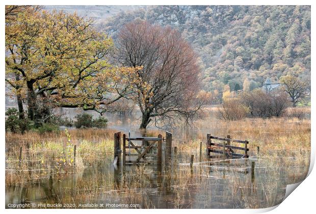 Flooded Derwent Water Print by Phil Buckle