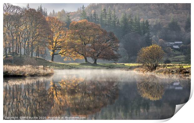 River Brathay Reflections Print by Phil Buckle