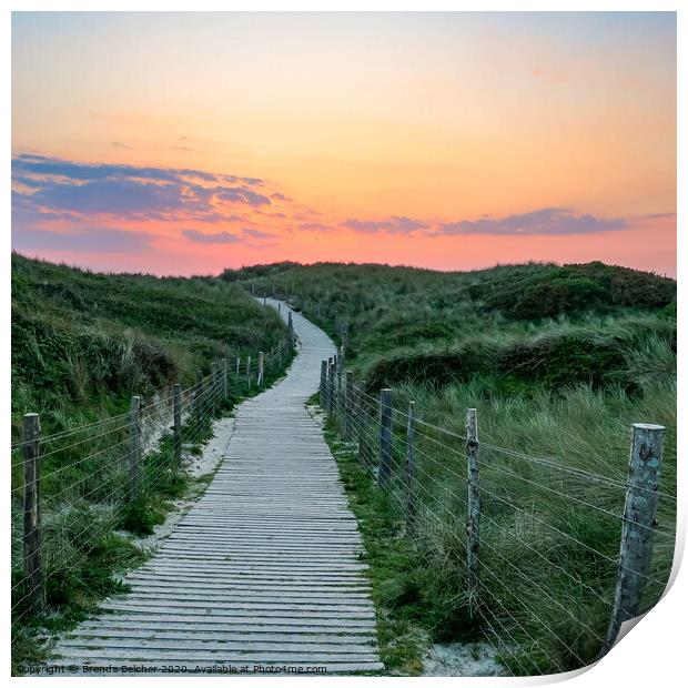 Pathway to sunset at Gwithian Beach Print by Brenda Belcher