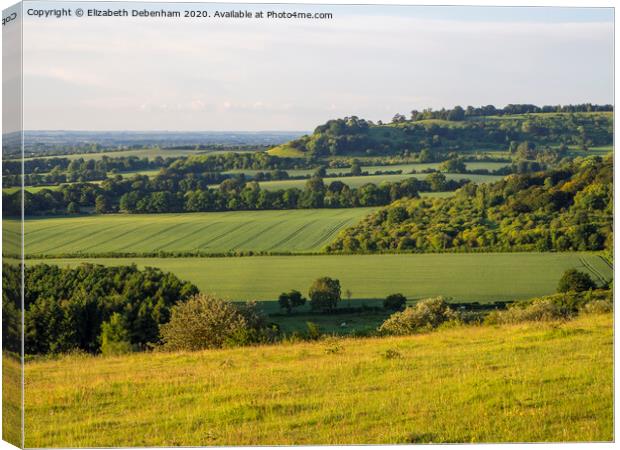 View from Watlington Hill in June Canvas Print by Elizabeth Debenham