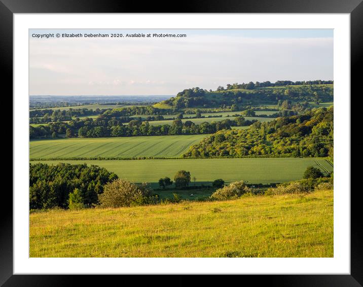 View from Watlington Hill in June Framed Mounted Print by Elizabeth Debenham