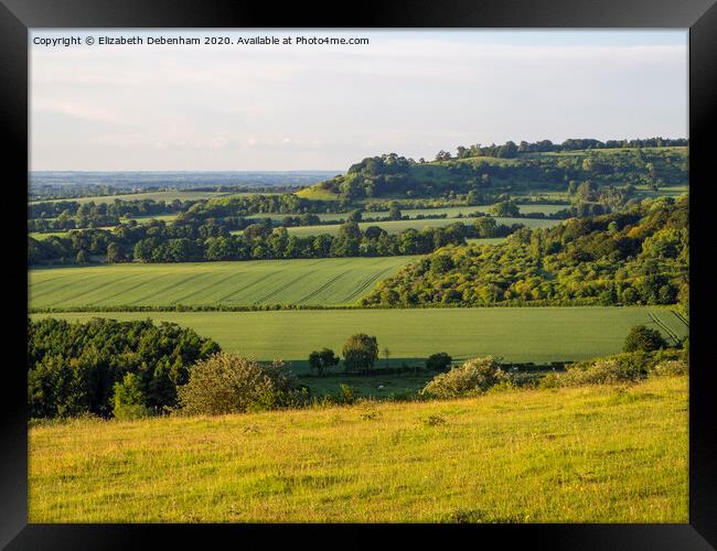 View from Watlington Hill in June Framed Print by Elizabeth Debenham