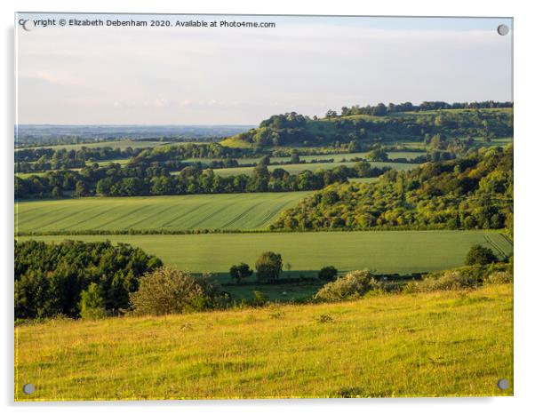 View from Watlington Hill in June Acrylic by Elizabeth Debenham