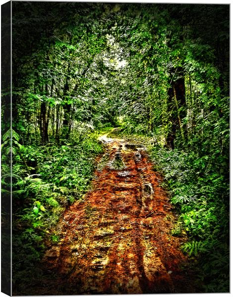 Road in the Wilderness Canvas Print by Mark Sellers
