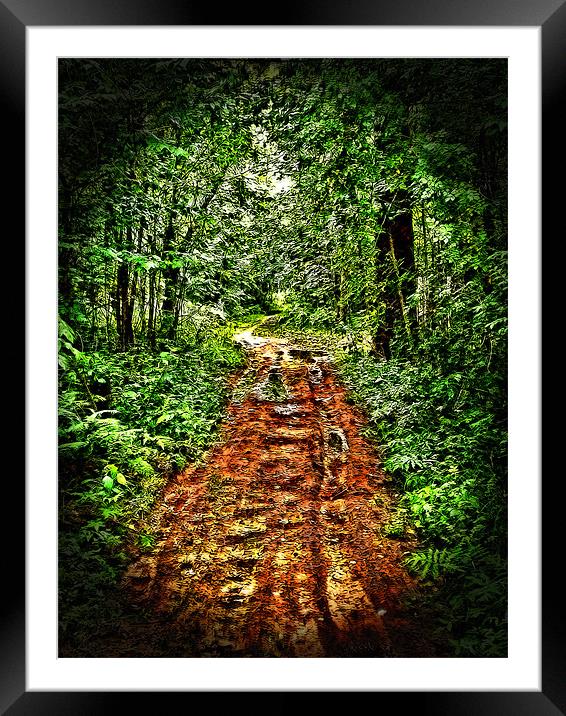 Road in the Wilderness Framed Mounted Print by Mark Sellers