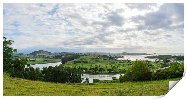 green coastline at sea with golf course and cloudy sky Print by David Galindo