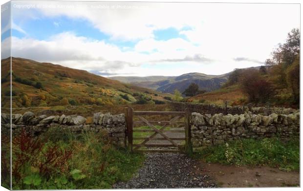 Gateway to the valley Ullswater Lake District Canvas Print by Sheila Ramsey