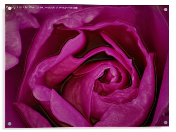 Pink Rose (Digital Art) Acrylic by John Wain