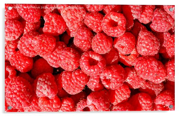 Background and texture of red ripe raspberries. Acrylic by Sergii Petruk