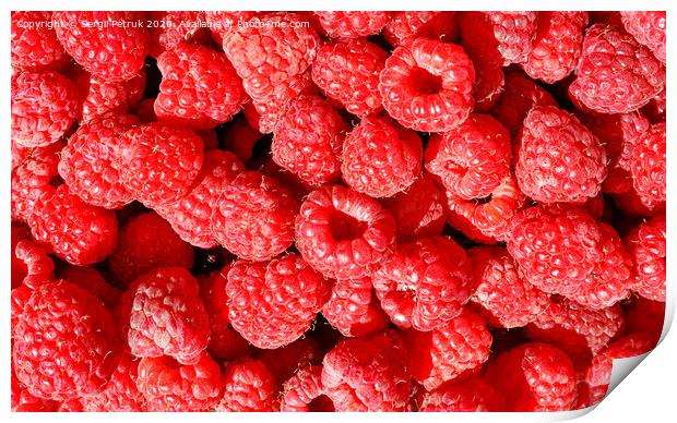 Background and texture of red ripe raspberries. Print by Sergii Petruk
