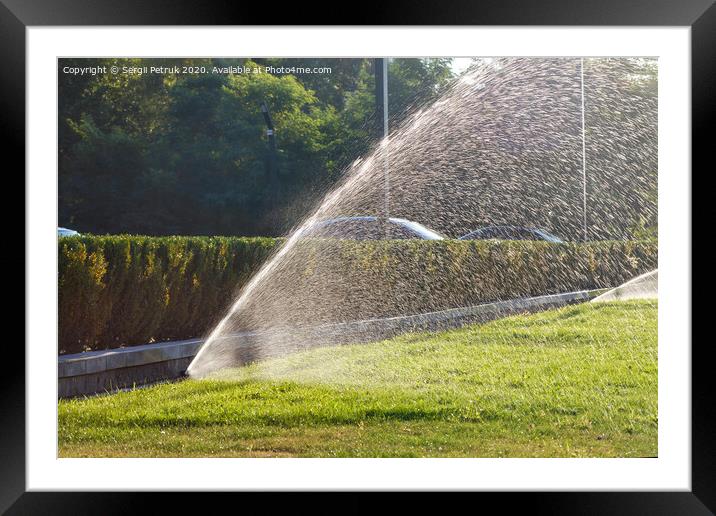 The green grass lawn is watered with a powerful sprinkler system. Framed Mounted Print by Sergii Petruk