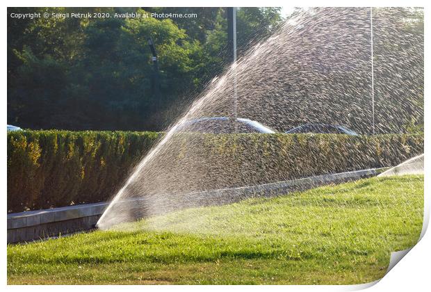 The green grass lawn is watered with a powerful sprinkler system. Print by Sergii Petruk