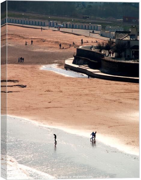 At the Seaside Canvas Print by Stephen Hamer
