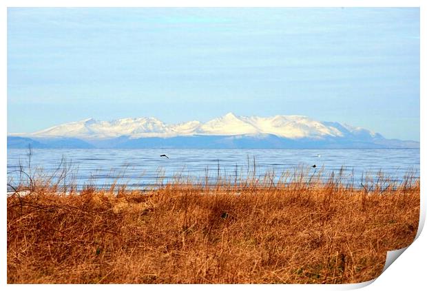A wintry Arran mountain view Print by Allan Durward Photography