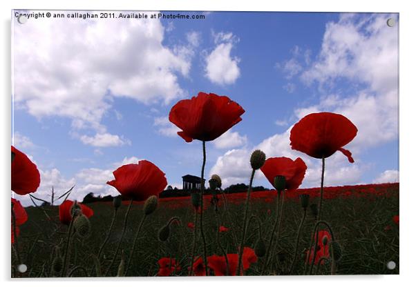 Poppys in the sky Acrylic by Ann Callaghan