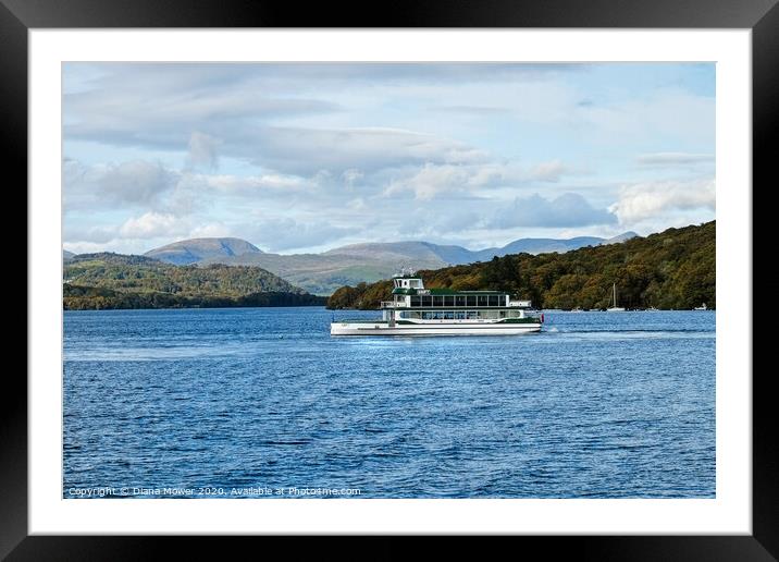 The Swift on Lake Windermere   Framed Mounted Print by Diana Mower