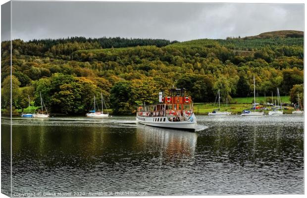The tern arriving at Lakeside,  Windermere at the  Canvas Print by Diana Mower