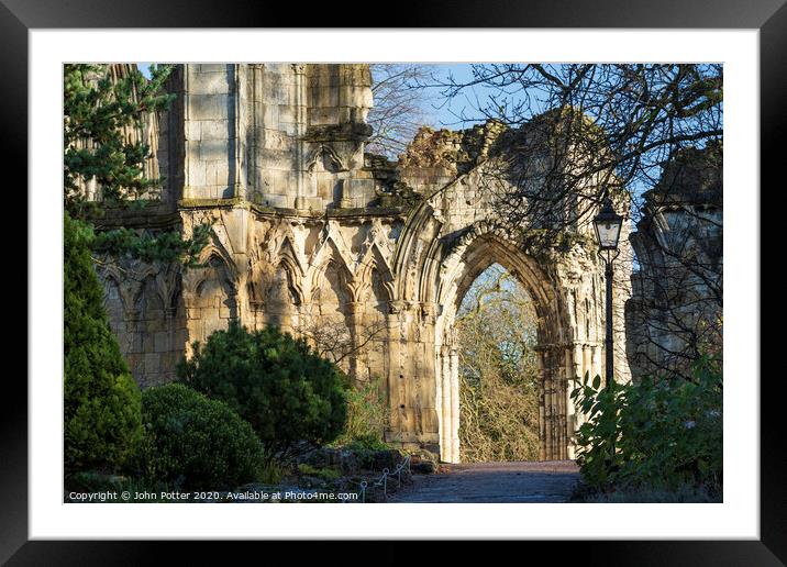 St Mary's Abbey Museum gardens York Framed Mounted Print by John Potter