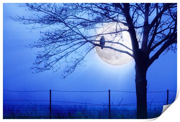 Bird hunting by blue moon light Print by Simon Bratt LRPS