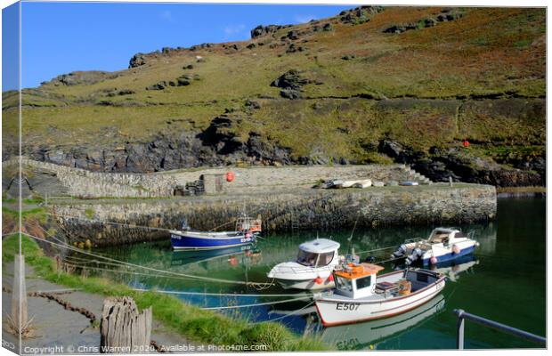 The harbour at Boscastle Plymouth Cornwall England Canvas Print by Chris Warren