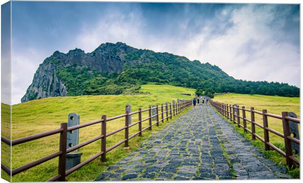 Landscape view of Jeju island Canvas Print by Ambir Tolang