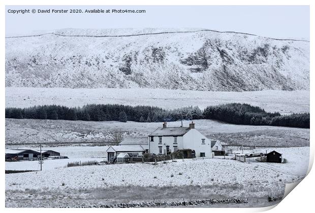 The First Snows of Winter in Upper Teesdale, County Durham Print by David Forster