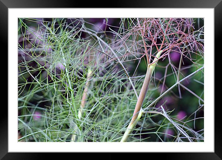 Power in Nature Framed Mounted Print by Dave Livsey