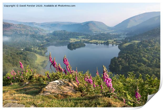 Foxglove Flowers and Grasmere Viwed from Loughrigg Fell on a Mis Print by David Forster