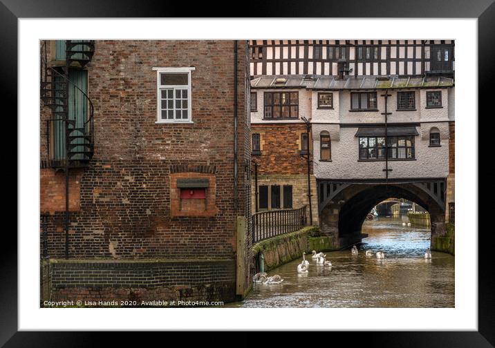 River Witham, Lincoln Framed Mounted Print by Lisa Hands