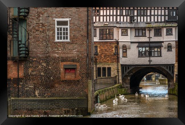 River Witham, Lincoln Framed Print by Lisa Hands