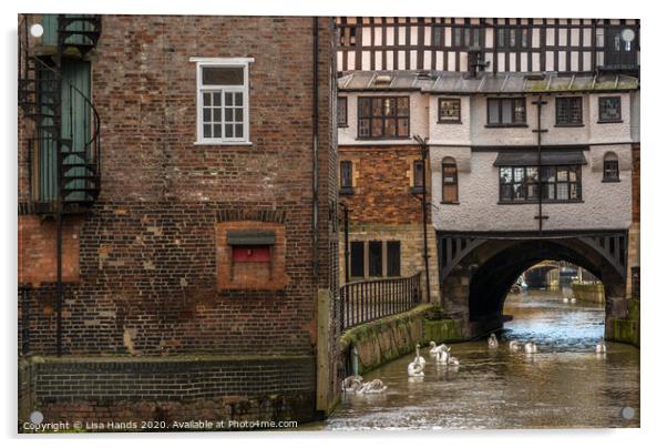 River Witham, Lincoln Acrylic by Lisa Hands