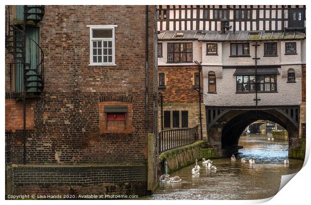 River Witham, Lincoln Print by Lisa Hands