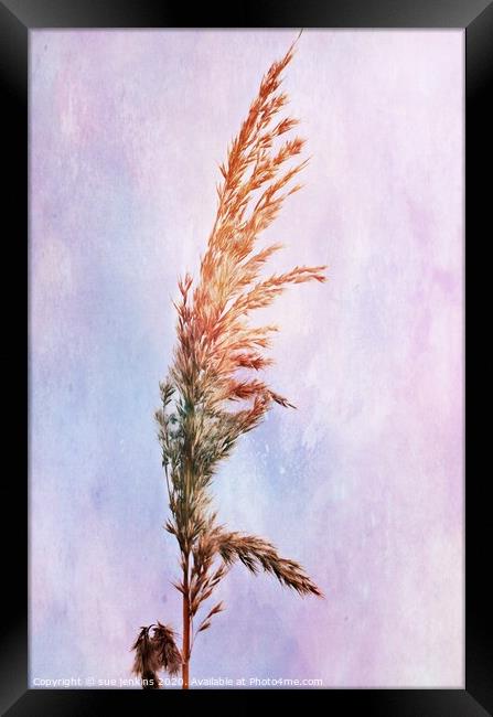 Feathered Edge Framed Print by sue jenkins