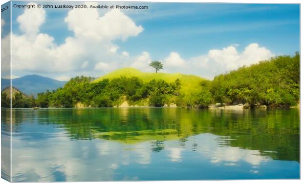 The tree stands alone on the hill Canvas Print by John Lusikooy