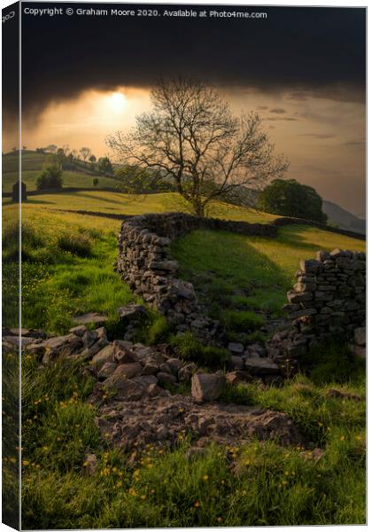 Swaledale Canvas Print by Graham Moore