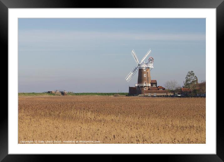 Cley Mill across the cornfields Framed Mounted Print by Sally Lloyd