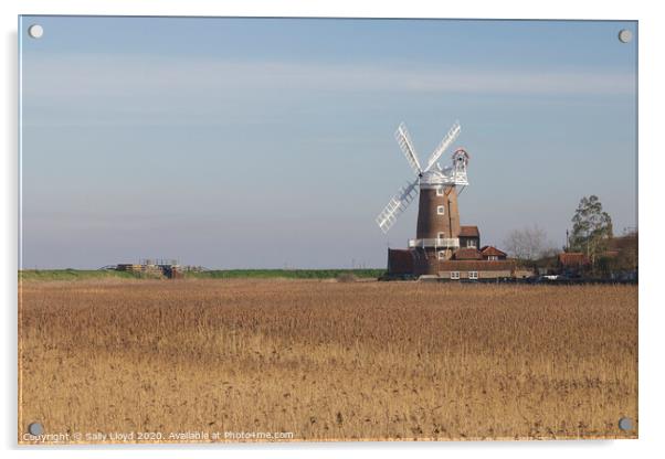 Cley Mill across the cornfields Acrylic by Sally Lloyd