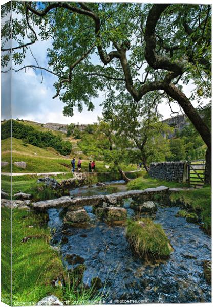 Footpath to Malham Cove. Canvas Print by Chris North