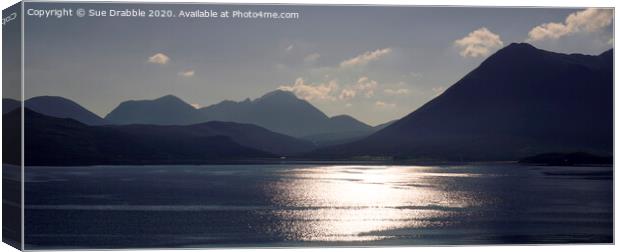 Sunlight on the Narrows of Raasay Canvas Print by Susan Cosier