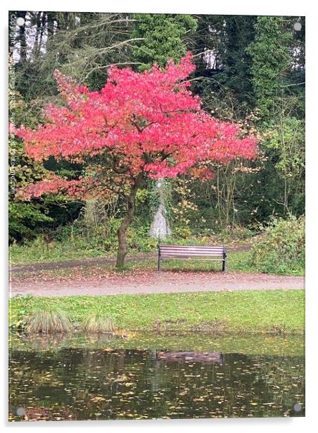 Autumn Colours Acrylic by sue jenkins