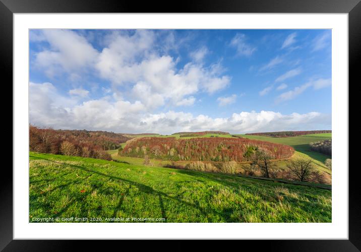 Box Copse at Arundel Park Framed Mounted Print by Geoff Smith